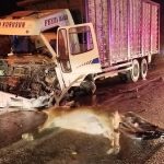 Yola aniden fırlayan geyik ölüme yol açtı!